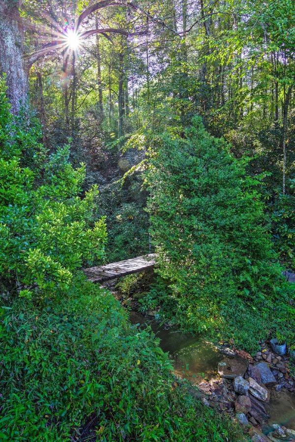 Shaw Creek Cottage With Fire Pit And Forest Views Hendersonville Exterior photo